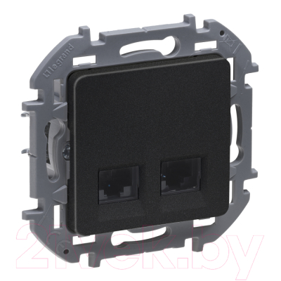 Розетка Legrand Inspiria 673838