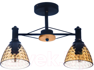 Потолочный светильник Aitin-Pro C1314/2 (черный) - фото