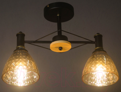 Потолочный светильник Aitin-Pro C1314/2 (черный)