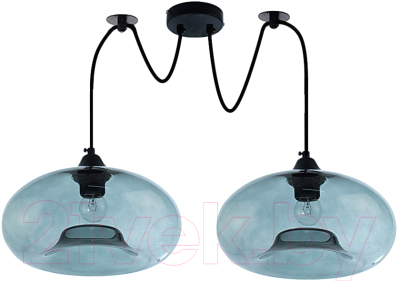 Потолочный светильник Aitin-Pro S5696/2 (черный) - фото