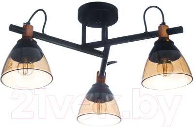 Потолочный светильник Aitin-Pro C1318/3 - фото