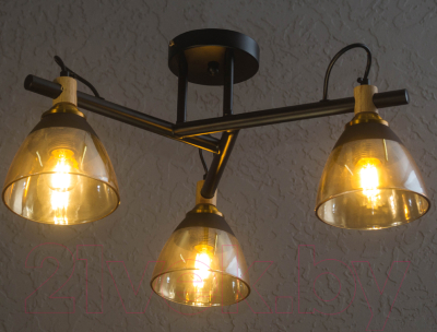 Потолочный светильник Aitin-Pro C1318/3