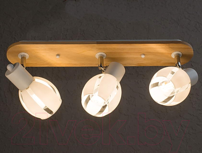 Потолочный светильник Aitin-Pro N4767/3