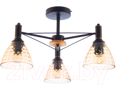 Потолочный светильник Aitin-Pro C1314/3 (черный) - фото