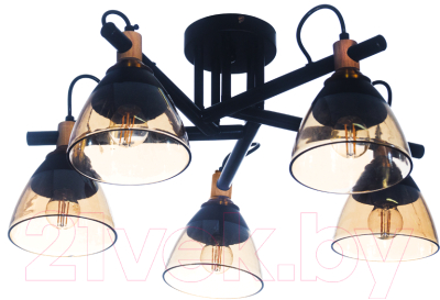 Люстра Aitin-Pro C1318/5 (черный) - фото