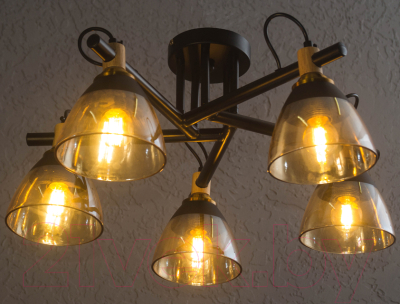 Люстра Aitin-Pro C1318/5 (черный)