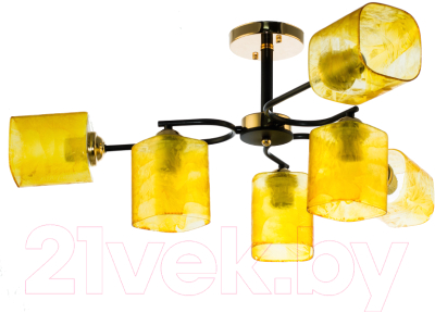 Люстра Aitin-Pro A3680/6 - фото