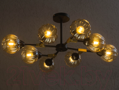 Люстра Aitin-Pro C1227/8 (черный)