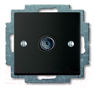 Розетка ABB Basic 55 1724-0-4313 - фото