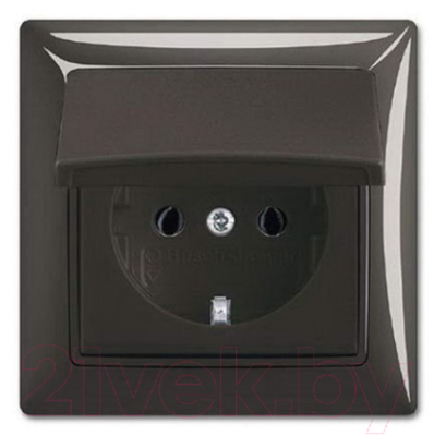 Розетка ABB Basic 55 2018-0-1502 - фото