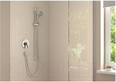 Лейка ручного душа Hansgrohe Vernis 26340000