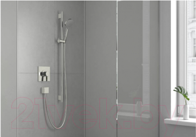 Лейка ручного душа Hansgrohe Vernis 26340000