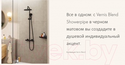 Лейка ручного душа Hansgrohe Vernis 26340000