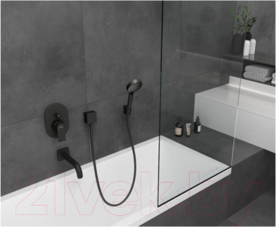 Лейка ручного душа Hansgrohe Vernis Blend 26340670