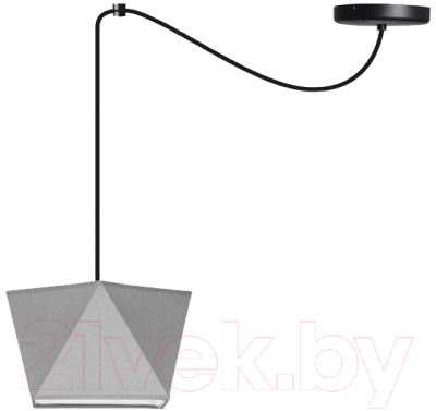 Потолочный светильник Aitin-Pro 8882/1C (черный) - фото