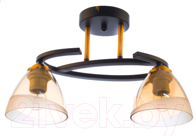 Потолочный светильник Aitin-Pro C1226/2 (черный) - фото