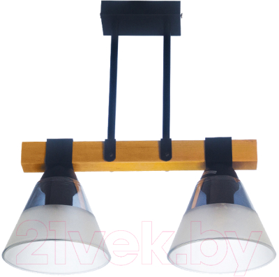 Потолочный светильник Aitin-Pro C1268/2 (черный) - фото