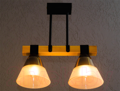 Потолочный светильник Aitin-Pro C1268/2 (черный)