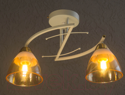 Потолочный светильник Aitin-Pro C1280/2