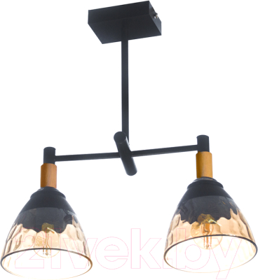 Потолочный светильник Aitin-Pro C1313/2 (черный) - фото