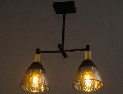 Потолочный светильник Aitin-Pro C1313/2 (черный)