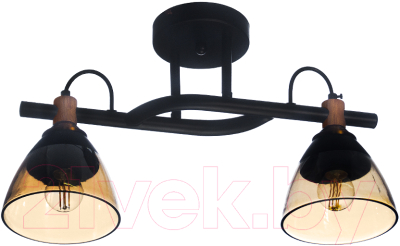 Потолочный светильник Aitin-Pro C1318/2 - фото