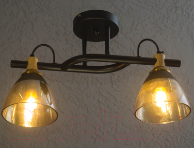 Потолочный светильник Aitin-Pro C1318/2