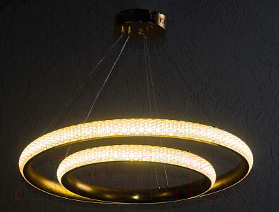 Потолочный светильник Aitin-Pro S2128/2