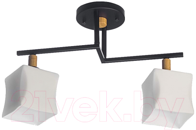 Потолочный светильник Aitin-Pro N4609/2 - фото