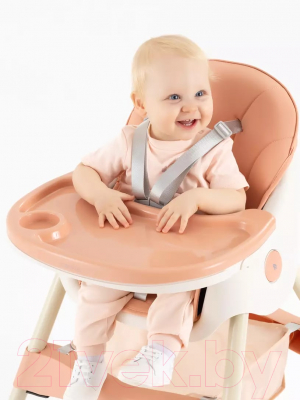 Стульчик для кормления Rant Basic Cookie / RH700 (Pink)