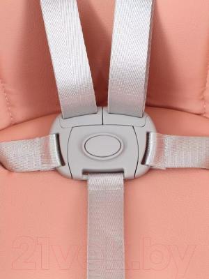 Стульчик для кормления Rant Basic Cookie / RH700 (Pink)