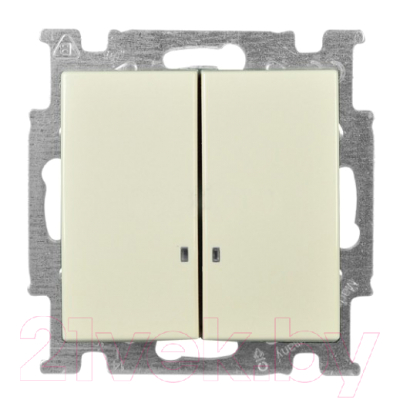 Выключатель ABB Basic 55 1012-0-2157 - фото