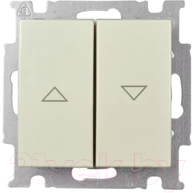 Выключатель ABB Basic 55 1012-0-2147 - фото