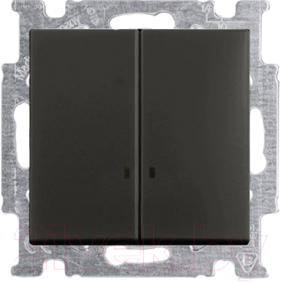 Выключатель ABB Basic 55 1012-0-2178 - фото