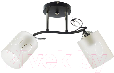 Потолочный светильник Aitin-Pro XA1253/2 (черный/хром) - фото