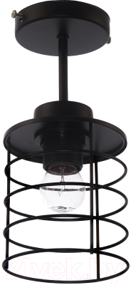 Потолочный светильник Aitin-Pro 8831/1 - фото