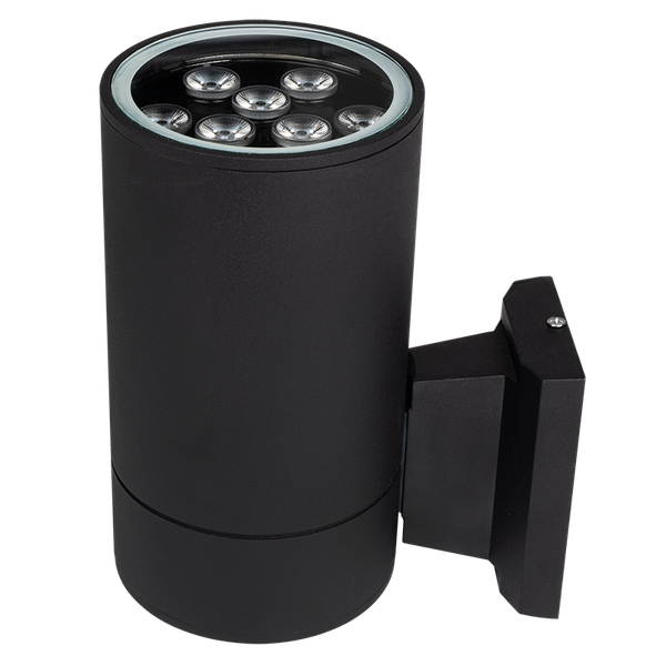 Бра уличное JAZZway PWL-200110/30D 1x9w 6500K BL / 2857965B - фото