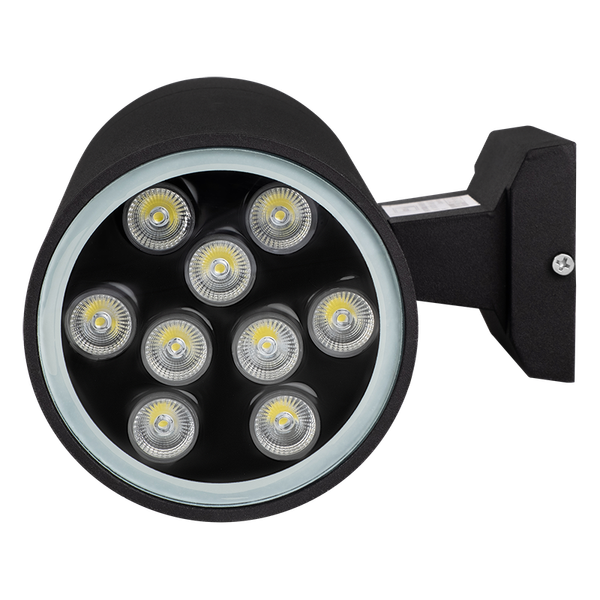 Бра уличное JAZZway PWL-200110/30D 1x9w 6500K BL / 2857965B