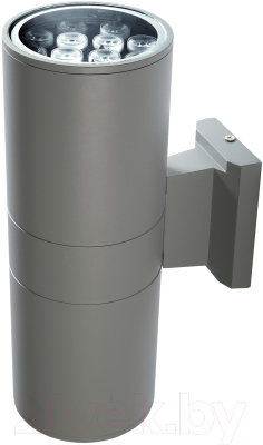 Светильник уличный JAZZway PWL-300110/30D 2x9w 6500K GR / 2857941B - фото