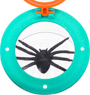 Транспортировочный бокс Levenhuk Discovery Basics CN5 79650