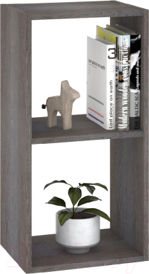 Стеллаж Кортекс-мебель Дельта-2 36x71 (береза)