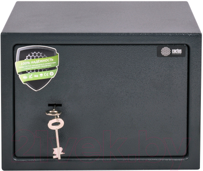 Мебельный сейф Cactus CS-SF-K25