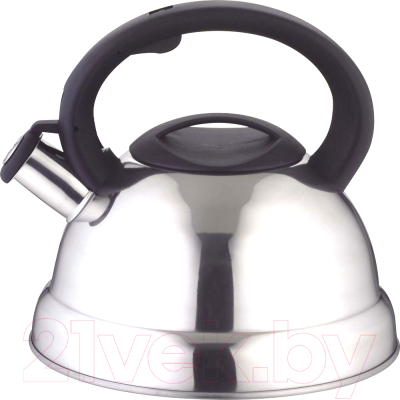 Чайник со свистком Astiat AST1010 (3л) - фото