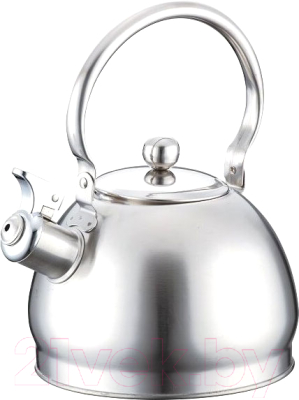 Чайник со свистком Astiat AST1086 - фото