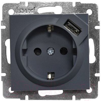 Розетка Lezard Vesna 742-3488-181 - фото