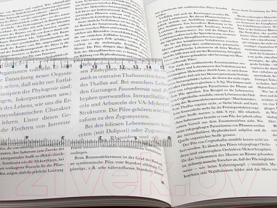 Лупа Френеля Veber 190x65 / 22703