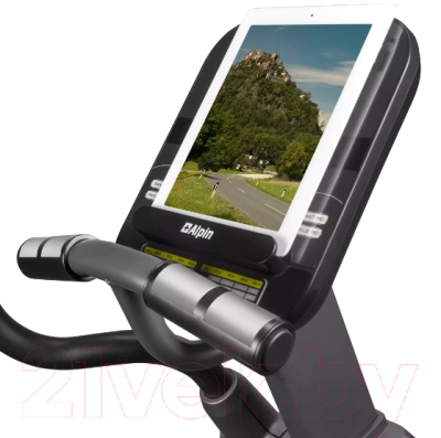 Эллиптический тренажер Alpin Edelweiss X-200