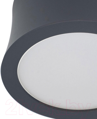 Точечный светильник Mantra Gower 6833