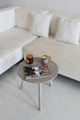 Журнальный столик Ladzim Эко T02gb (серый)