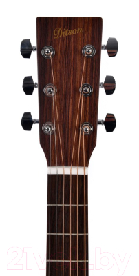 Акустическая гитара Ditson Guitars D-10